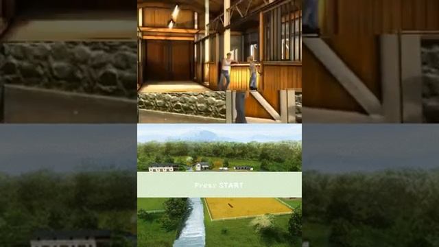 My Horse & Me Riding for Gold USA - Nintendo DS смотреть онлайн