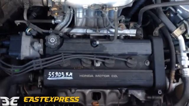 ДВС+КПП HONDA B20B № 3552649 смотреть онлайн