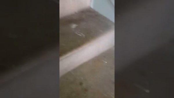 идем на свой страх и риск