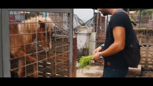 Плавучий рынок Дамноен Садуак в Таиланде HD смотреть онлайн