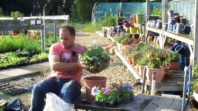 How To Make A Fantastic Hanging Basket смотреть онлайн