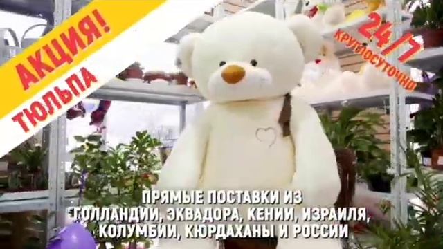 Оптово-розничный магазин цветов. Саратов. смотреть онлайн