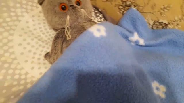 Басик заболел