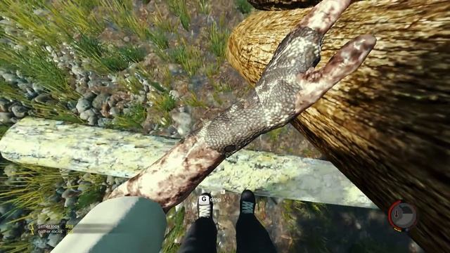 TheForest, Экстренная доставка дров.