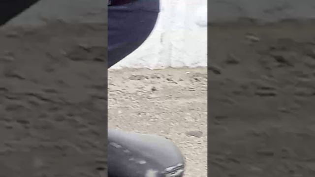 Бапашов чистый город. Хопер казачья река. И. К. Г. в Балашове. смотреть онлайн