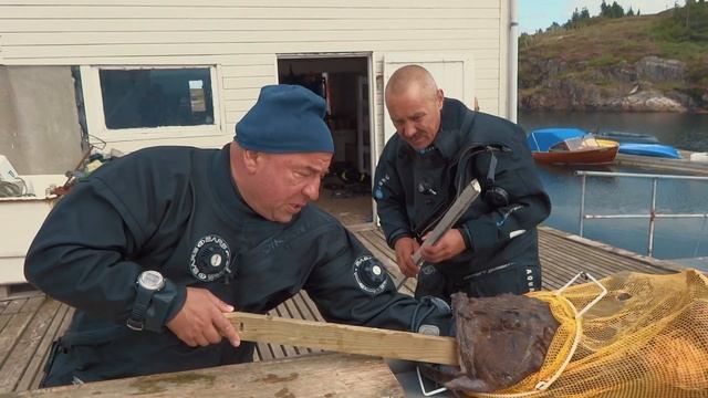 Нападение Морского Черта на дайвера. По-новому о старом смотреть онлайн