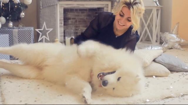 Самоед ФОТОСЪЕМКА смотреть онлайн