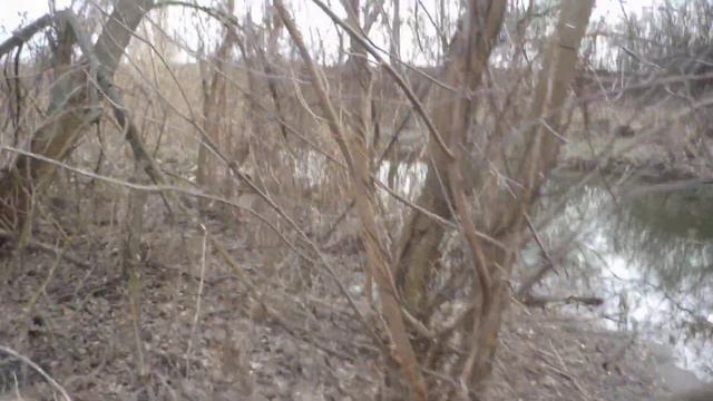 поймал огромного язя 21 марта 2020 смотреть онлайн