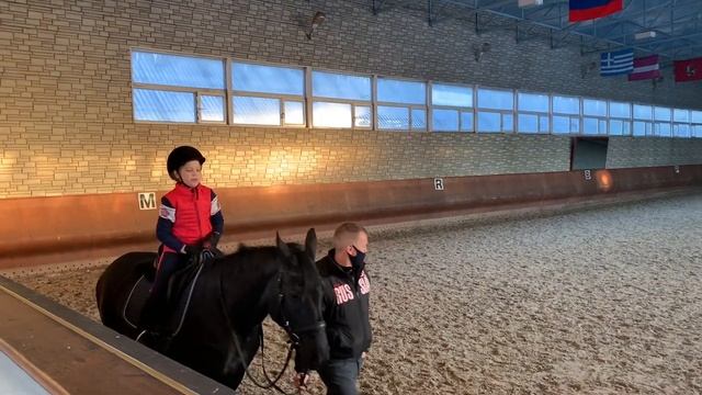 Верховая езда / КОНОБЛОГ / Разминка и как лошадь испугалась на занятии смотреть онлайн