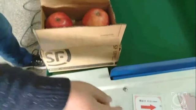 Промышленный металлодетектор для фруктов смотреть онлайн