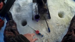 Рыбалка на Селенге - ловим...