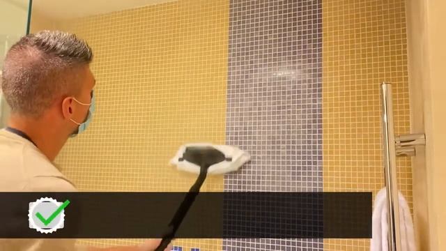 Дезинфекция гостиниц профессиональные парогенераторы Menikini и дезинфектор Sanifog - для клининга смотреть онлайн