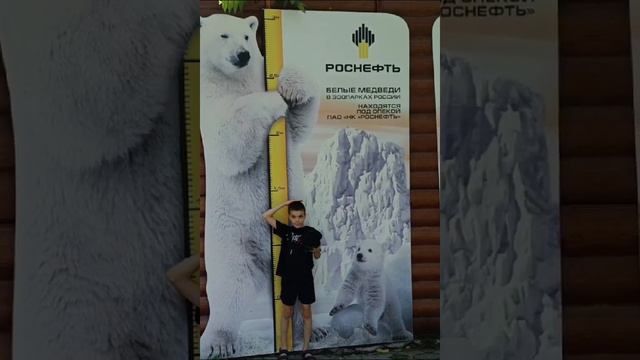 лето прошло смотреть онлайн