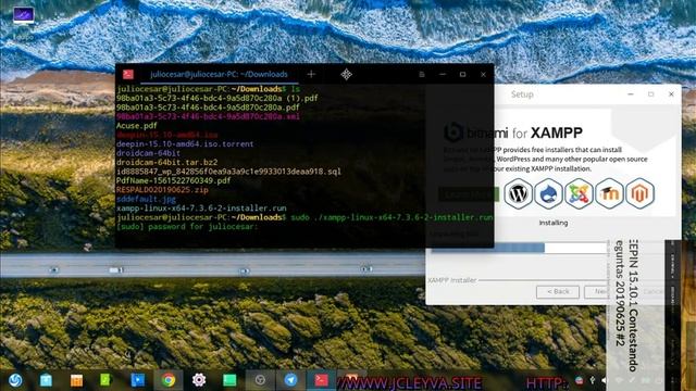 COMO INSTALAR XAMPP 7.3.6 EN DEEPIN 15.10.1 #4 смотреть онлайн
