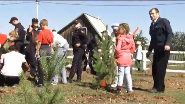 В Бобровке высадили сосны в рамках акции «Зеленая Россия» 28 08 15 16+ смотреть онлайн