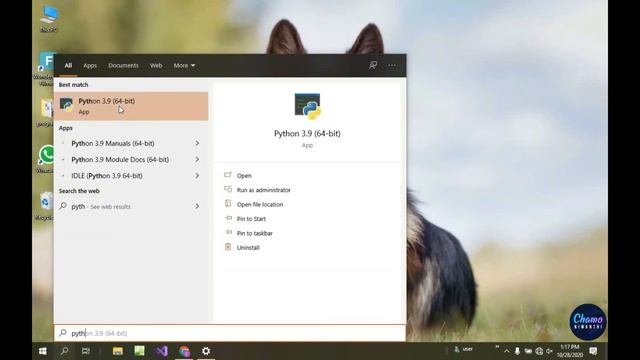 How to download and install python 3.9.0 on windows 10 смотреть онлайн