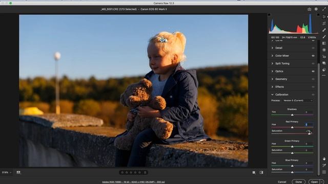Calibration Panel in Camera Raw смотреть онлайн