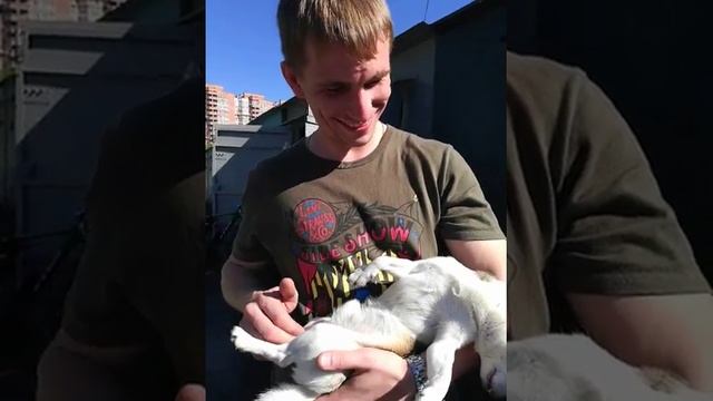 Фунтик кайфует от почесушек смотреть онлайн