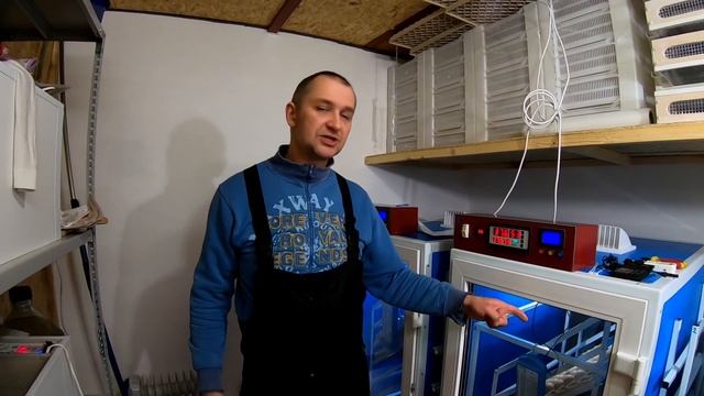 ПРАВИЛЬНАЯ ИНКУБАЦИЯ бройлера и несушки. Таблица инкубации. Инкубация от А до Я