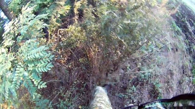 MD1012 полевые испытания смотреть онлайн