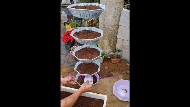 How to make a delicious hanging sprout garden at home смотреть онлайн