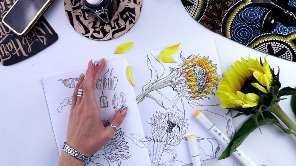 Как нарисовать подсолнух: урок скетчинга для начинающих
