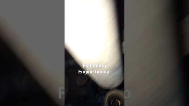 fiat Punto engine timing смотреть онлайн
