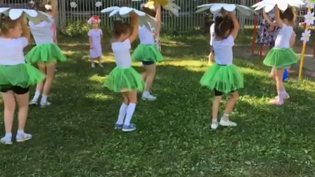 Танцевальная композиция "Ромашковое поле" смотреть онлайн