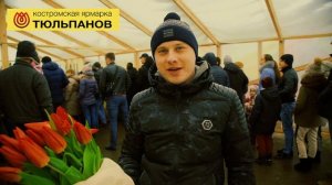 Костромская Ярмарка тюльпанов