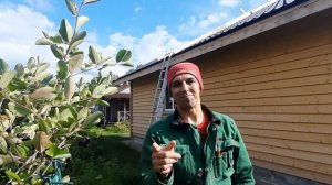 Как заходит на кровлю печник.