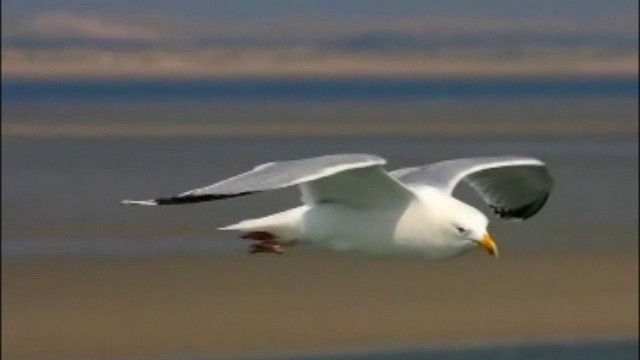 ТАНТРА Музыка