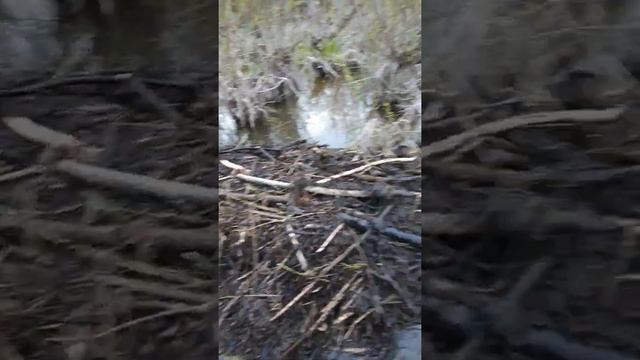 Вода снова идет продолжение смотреть онлайн