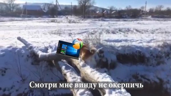 Как установить драйвера за 3 минуты | ЛУЧШИЙ СПОСОБ! | Snappy Driver Installer