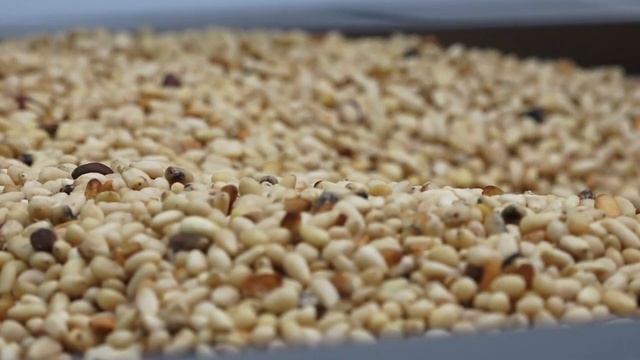 Бизнес в лицах: компания "КЕДР ЭКСПОРТ", Кемерово смотреть онлайн