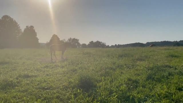 Стоит тут в гордом одиночестве смотреть онлайн