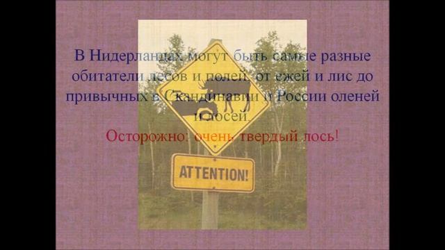 Дорожные знаки всего мира смотреть онлайн