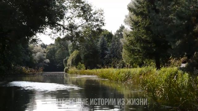 ВЛЮБИЛСЯ В НЕЁ ПО УШИ И ПОЖАЛЕЛ. Жизненные истории и аудио рассказы слушать онлайн смотреть онлайн