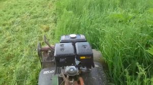 Косилка мульчир  рвёт борщевик.