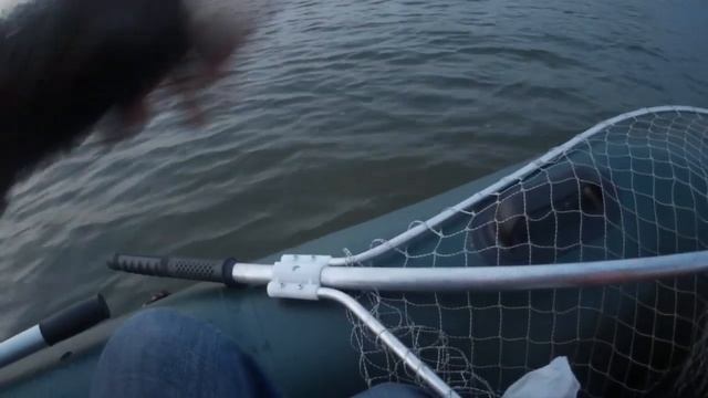 Ловля окуня и щуки с лодки. Новосибирск. июль 2019 смотреть онлайн