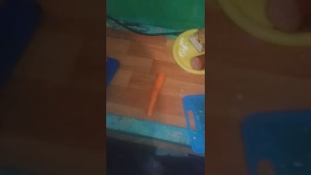 Зажарка на кипятильнике