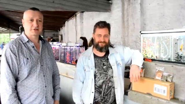 Птичий рынок Челябинска. Небольшой обзор. смотреть онлайн