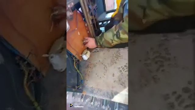 самодельный вездеход смотреть онлайн