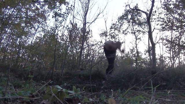 Акробатика (Паркур) в Новороссийске | Осенний Отчёт смотреть онлайн