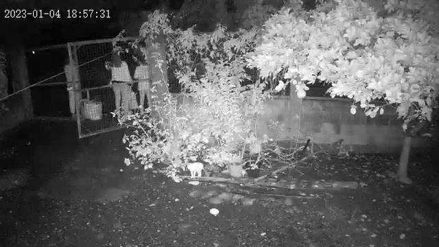 ycc 365 plus night vision смотреть онлайн