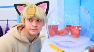 Покемоны в реальной жизни! Строим домики для Докторов-Покемонов!