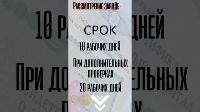 Материнский капитал в 2022 году смотреть онлайн