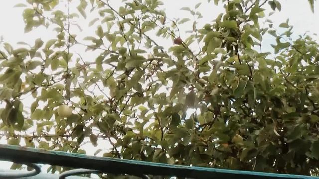 Кулинарные Традиции ❤