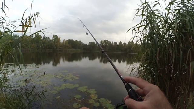 Выбор спиннинга для начинающего. Основные ошибки и критерии выбора.