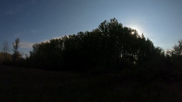 ОСЕННИЕ ГРИБОЧКИ. ГРУЗДИ. смотреть онлайн