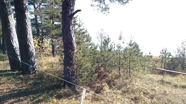 Закрытая и Охраняемая Территория Советского Прошлого. 1000 🍄 🍄 🍄 смотреть онлайн